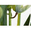 110cm Faux Flowering Plant in Pot