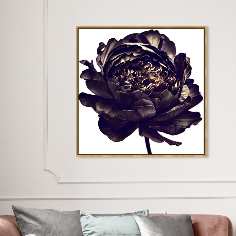 Pivoine noire - Impression sur toile, Encadrement doré, H 41,5 po x l 41,5 po