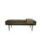 1 repose-pieds avec plateau coulissant vert PCS