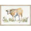 Daphne Framed Print