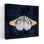 Art mural contemporain Elegant Moth II-1204945437