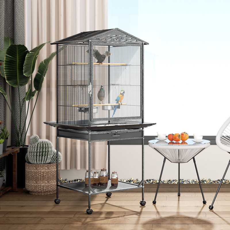 Cage à oiseau avec perroquet Fordie, Noir