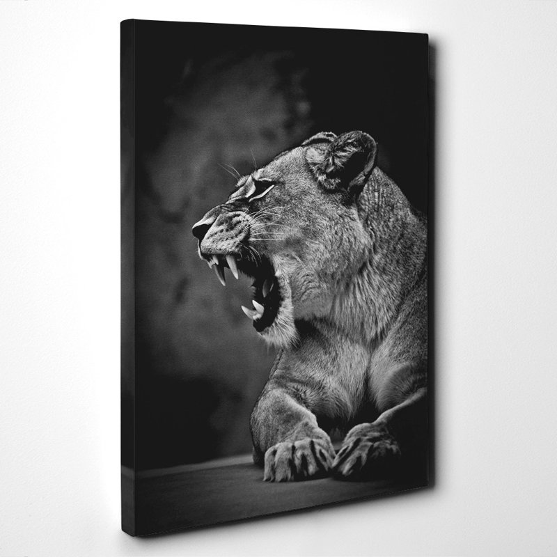 Fierce Lioness Lion - Wrapped Canvas Print, 60cm H x 40cm W