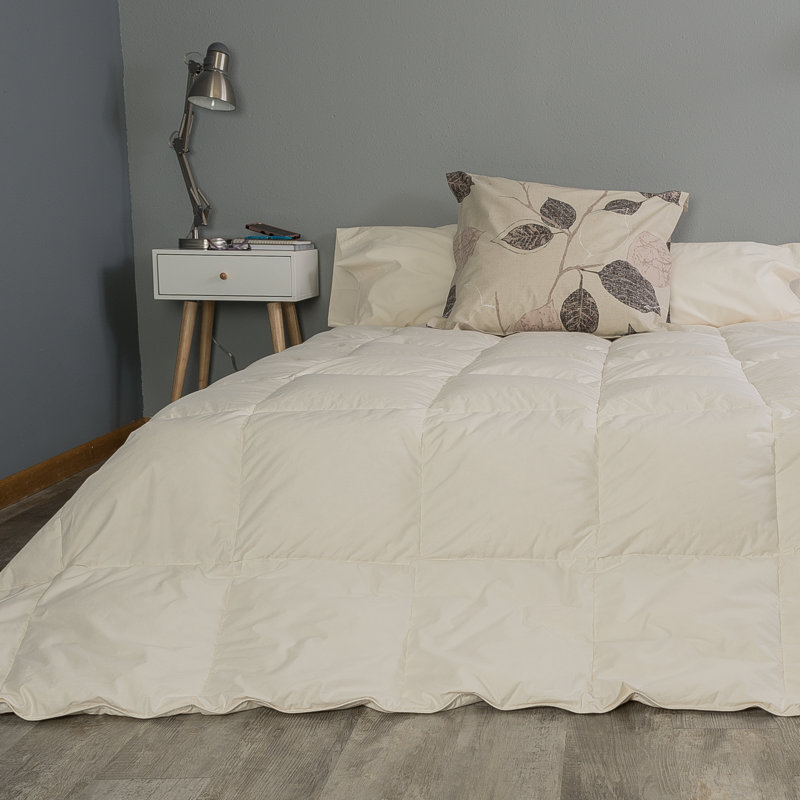  Édredon en duvet moyen C105, Ivoire, Édredon simple extra long