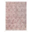 Willyard Oriental Area Rug
