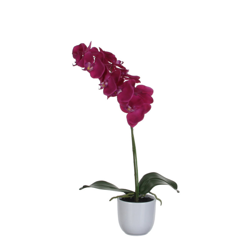 phalaenopsis 60 cm H Faux Plant, Purple