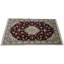 Orietto Oriental Area Rug in Red