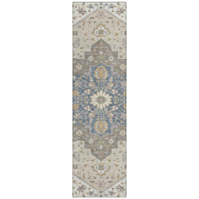Machine Washable Indoor/Outdoor Chantille ACN2533 Traditional Rug