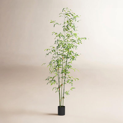 96" Bamboo Tree in Pot