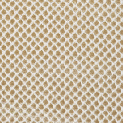 Modern Nature Etosha Velvet Fabric