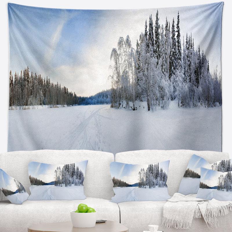 Photographie hiver champ paysage tapisserie, H 32 po x l 39 po