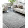 Hengrove Machine Woven Indoor Area Rug