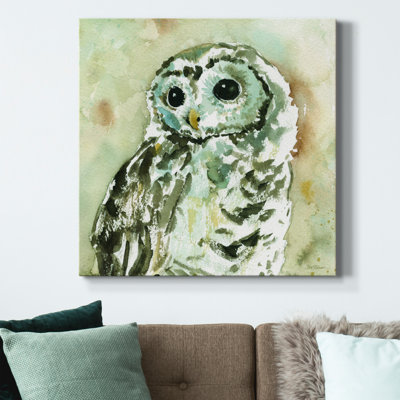 Hibou des bois - reproduction sur toile tendue