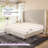 Belo Upholstered Low Profile Platform Bed-469607668-435998056