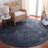 Vitnage Overdye 806 Performance Oriental Rug-2088712820