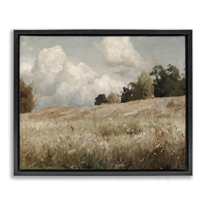 Paysage classique de champ nuageux, H 17 po x l 21 po, Cadre flottant noir de jais