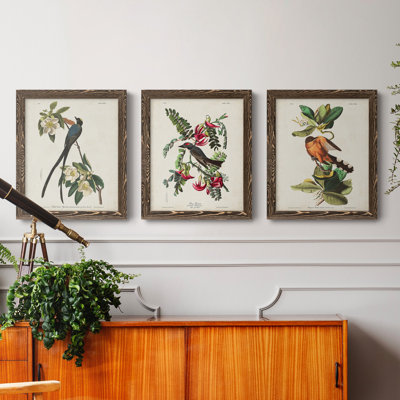 Pl 168 "Moucherolle à queue fourchue", ensemble de 3 peintures sur toile encadrées