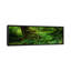 «Hoh Rainforest, Olympic National Forest, Washington», reproduction de photo sur toile-19981092-71997066