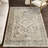 Vanesa Transitional Medallion Fringe Area Rug-885482526