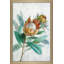 Tropical Protea - Peinture-1488347345-1488347346
