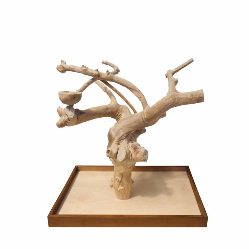 Plateau pour petite table coffeawood tree
