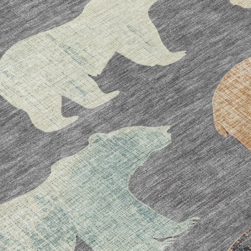 Machine Washable Indoor/Outdoor Chantille ACN2338 Lodge Rug, Rectangle 8' x 10'