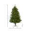 7.5' Dual LED  Royal Fir Tree
