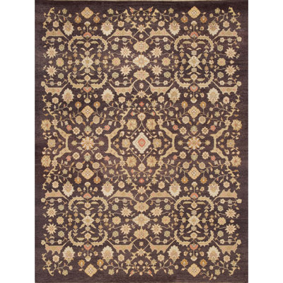 Wool Oriental Area Rug in Chocolate/Beige/Red