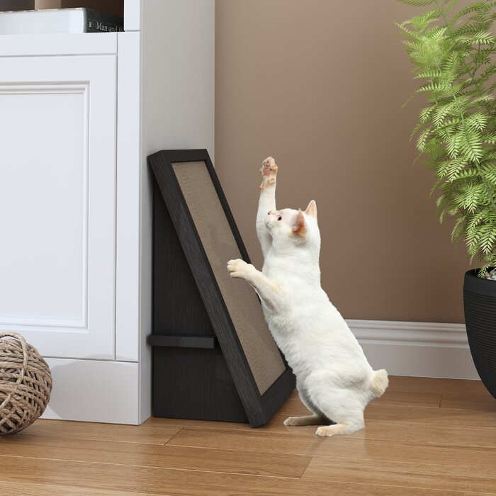 Archie & Oscar™ Kells Scratching Post & Reviews | Wayfair