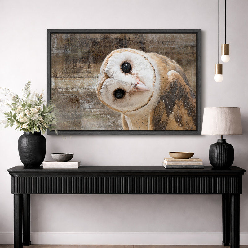 «Bird Bird Curious Owl Look» (Tyto Albahead), tête en gros plan sur toile, H 24 po x l 36 po, Impression encadrée, Noir