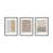 Black Framed Paper selected