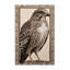  Washable Eurasian Sparrowhawk Birds Area Rug-1892800307