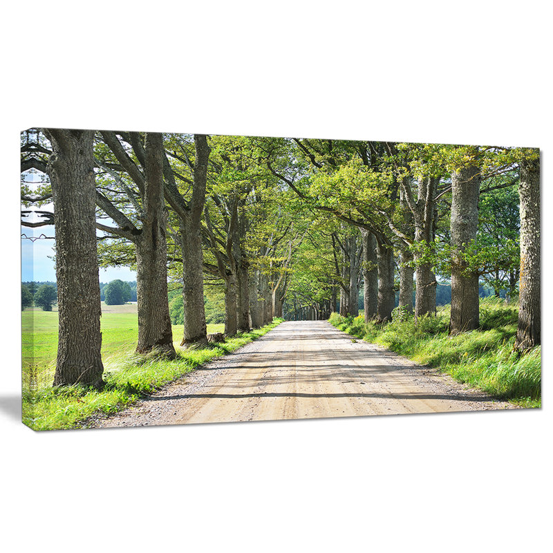 « old road through alley », reproduction de photo sur toile tendue, H 16 po x l 32 po x P 1 po