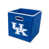 Wildcats de Kentucky