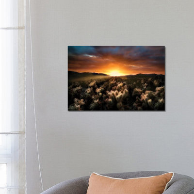 Cholla Sunrise by Dennis Frates - Gallery-Wrapped Canvas Giclée on Canvas