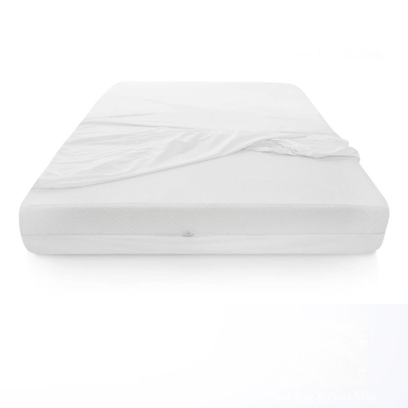 Davidsville Bed Bug and Hypoallergenic Cotton Zippered Waterproof Mattress Protector with 360 Degree Protection, Queen