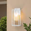 Tiernan Outdoor Wall Lantern-430416641-430416642