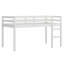 Wooden Loft Bed With Ladder-1049872959