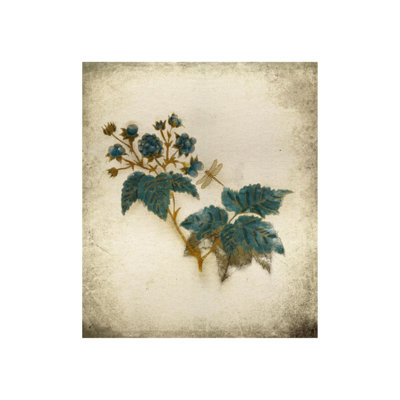 Fleurs De Vintage I Print by Austin Beiv