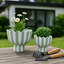 Pot de fleurs et ciment Planters