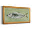 «Green Sea Swimmer II», peinture sur toile à cadre unique-2126783248