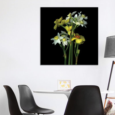 Daffodil Small VI 1 Piece Wrapped Canvas Painting
