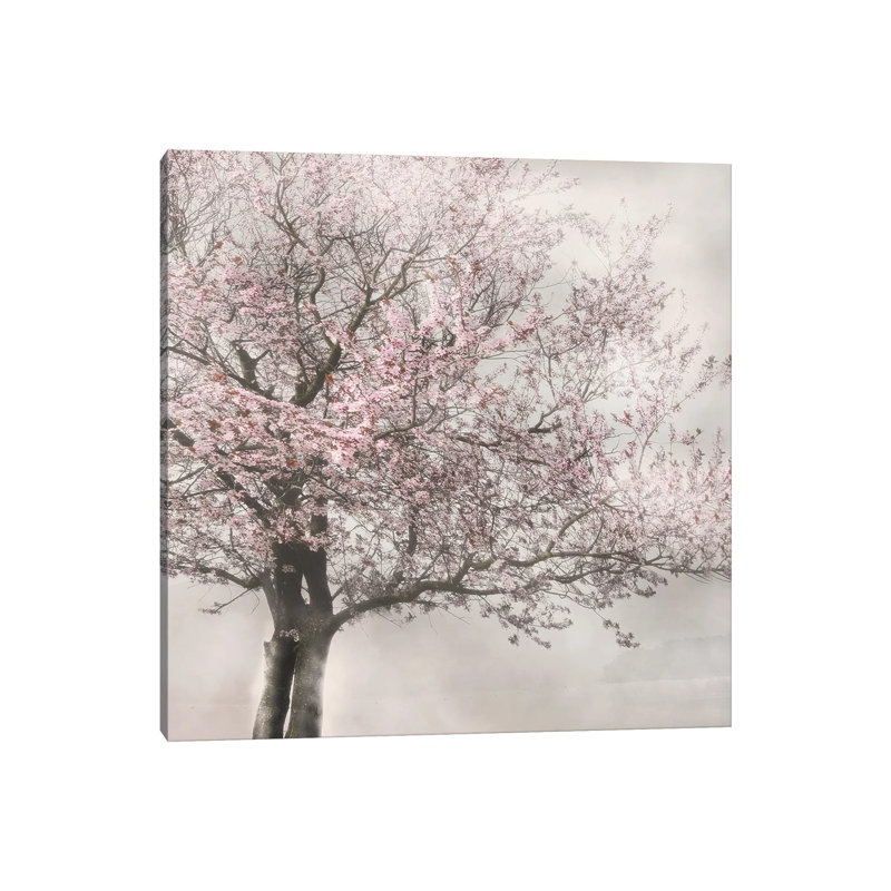 Blush In The Wind I - Wrapped Canvas Print, 30.48 cm H x 30.48 cm W
