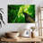 Harnek Forest Tree Canopy-108871654