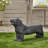 Lightweight Concrete Dog Still Bench - Design, No Assembly Required, 31.69" W X 8.72" D 16.26" H Attractive Refined Theme, Concrete, Assembly,