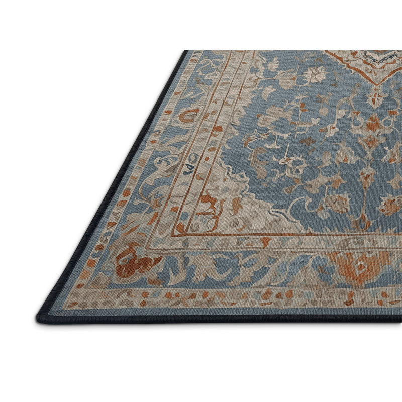 Machine Washable Black Area Rug, Rectangle 4' x 6'