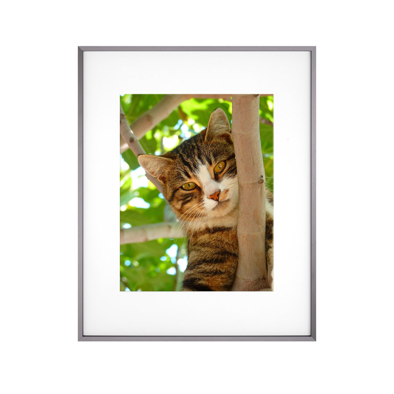 Cadre photo, Gris