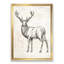 Cerf sauvage et magnifique - Reproduction d'art sur toile-51145384-51145388