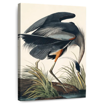Brampt Hunting Great Blue Heron