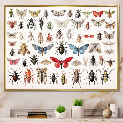 " Tiny Insect Wonders II "